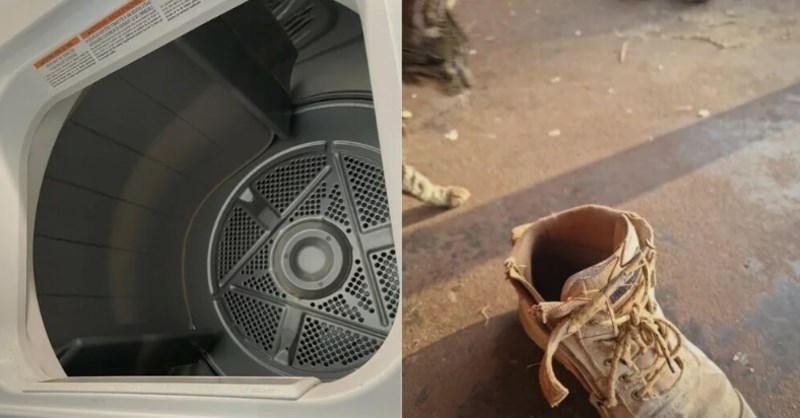 Dobro pogledajte ove fotke, možete li pronaći skrivene uljeze