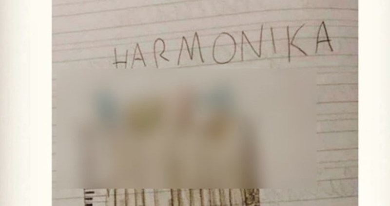 Mališan je dobio zadatak da nacrta harmoniku, učiteljica je odmah poslala sliku roditeljima