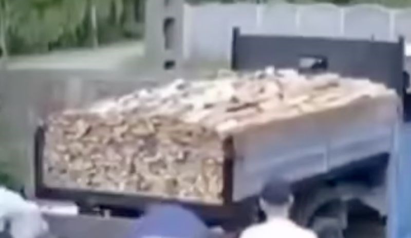 Čovjek je naručio pun kamion drva za zimu, ostao je u šoku kad je vidio kako je prevaren