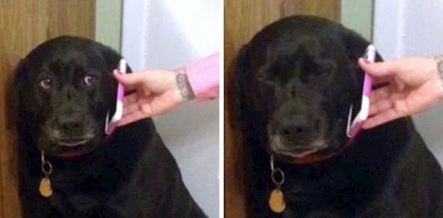 Onaj osjećaj kad vam je mama davala telefon da se baki zahvalite za onih 100 kuna...