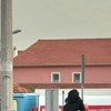 Širi se nevjerojatna fotka iz Dalmacije, ljudi ne vjeruju što je gospođa odlučila ukrasti
