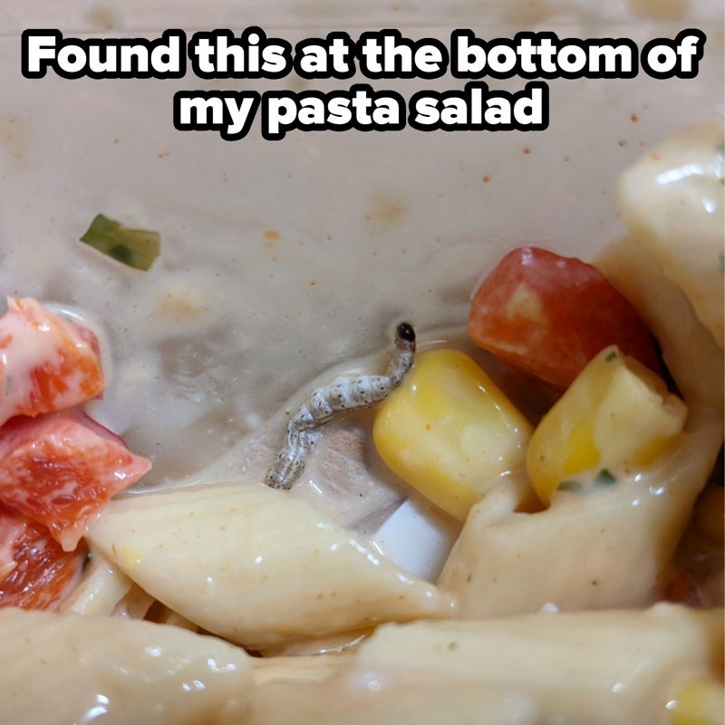 Pronašla je crva na dnu zdjele sa salatom