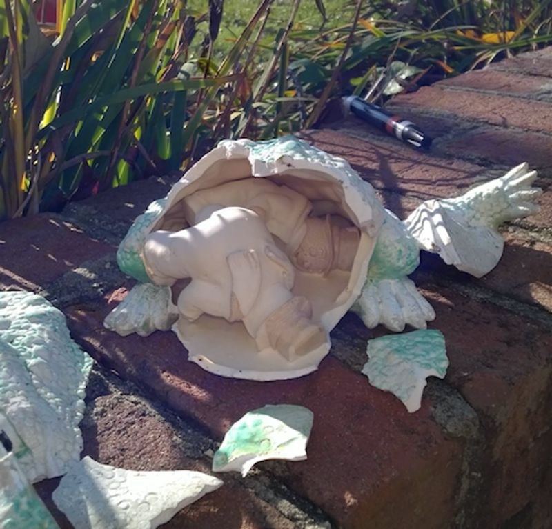 Razbio mi se ukras i unutra su bila dva nova