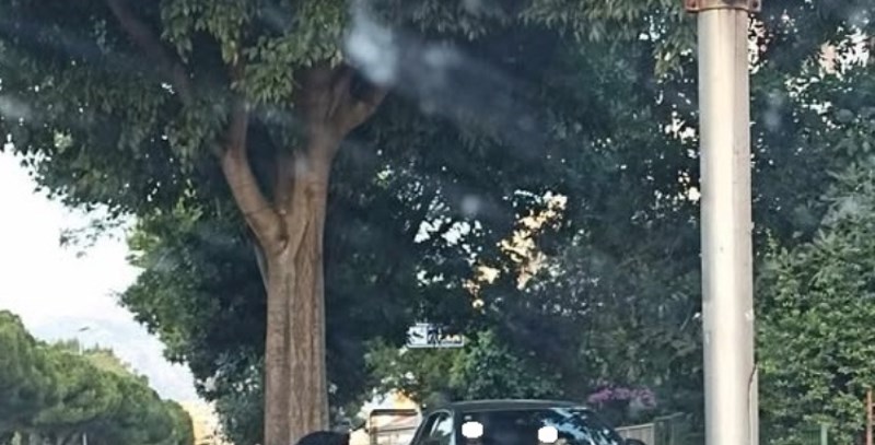 Ljeto je tek počelo, a već imamo najluđi parking sezone. Pogledajte što je izveo vozač u Splitu