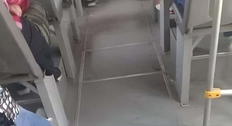 Fotka autobusa iz BiH skuplja tisuće lajkova, odmah će vam biti jasno zašto