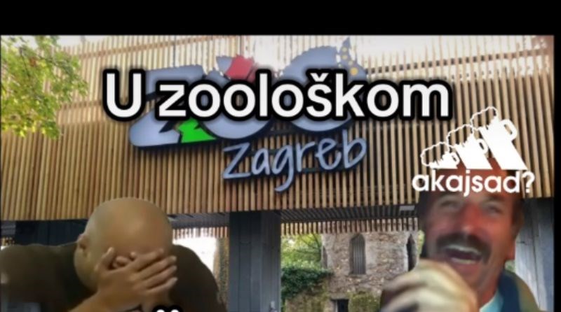 Ljudi pišu da je nemoguće ne nasmijati se na ovaj video od 5 sekundi, urnebesan je!