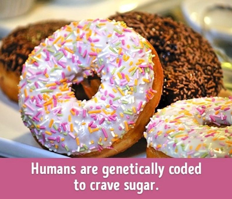 Ljudi su genetski ustrojeni da žude za šećerom