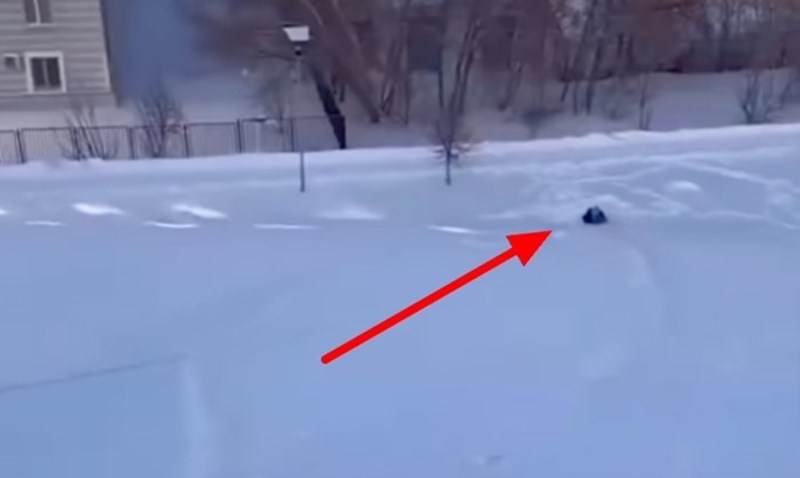 Crnogorac je otkrio trik kako se sanjkati s djecom čitav dan bez da se pomakneš, ovo je takav hit!