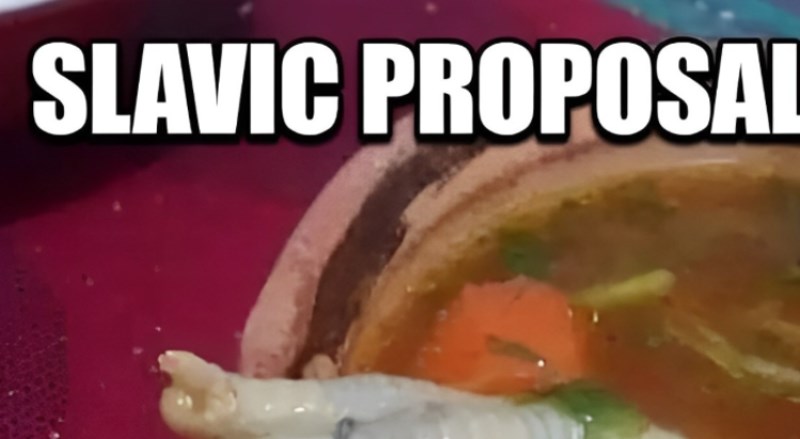 Tip iz Poljske zaprosio je djevojku na najbizarniji mogući način, ovo morate vidjeti!