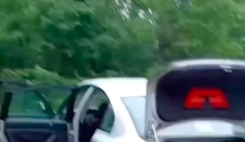 Način na koji je tip iz Srbije odlučio prevesti drva je nešto najluđe što ćete vidjeti danas