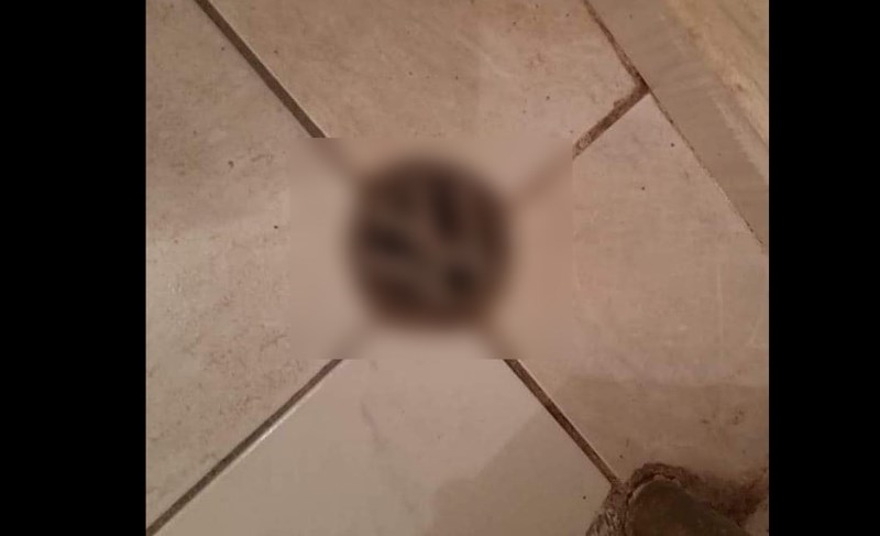 Je li ovo vrhunac balkanske pameti? Morate vidjeti što je Bosanac iskoristio za odvod u kupaoni