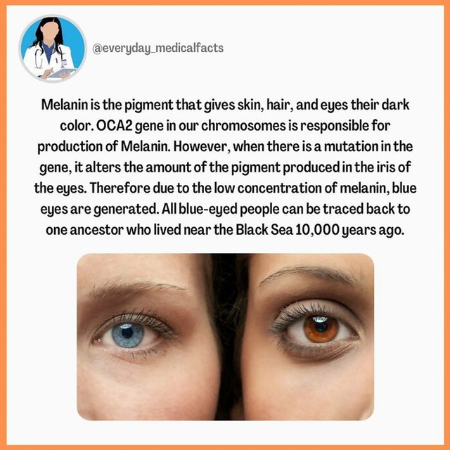 Boja očiju i melanin