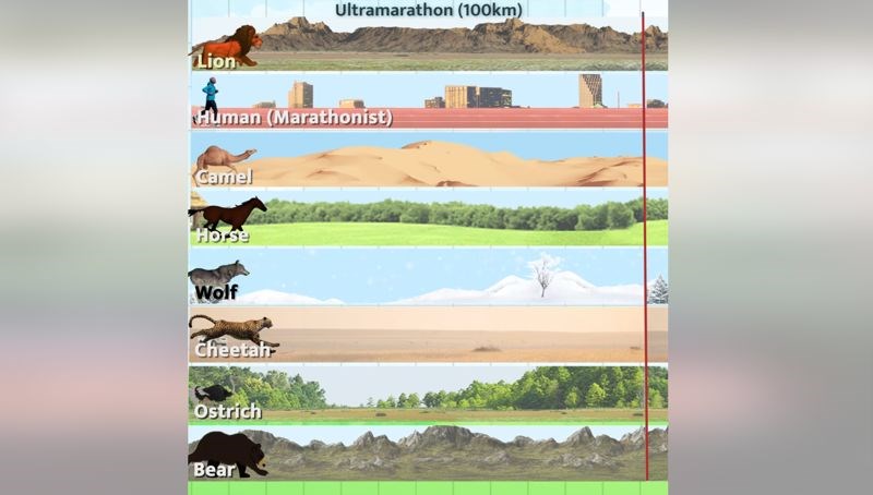 Fantastična snimka pokazuje tko bi pobijedio u utrci na 100km, ljudi ili najbrže životinje