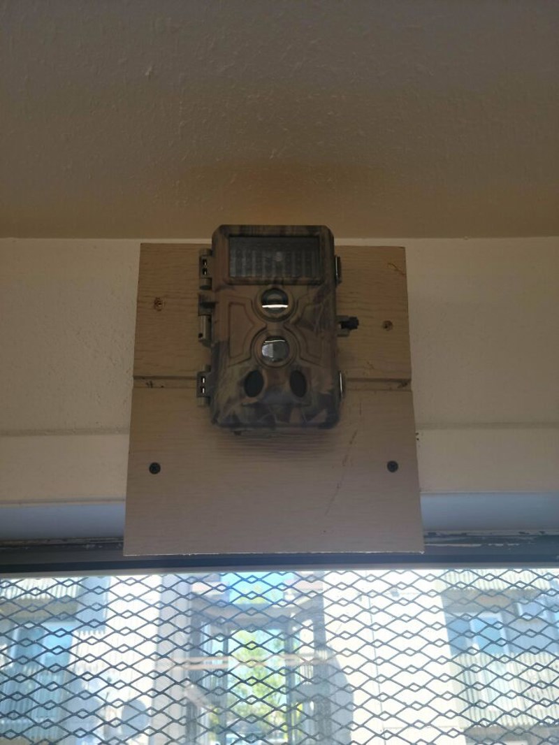 Što je ovo? Nalazi se u kući koju smo kupili