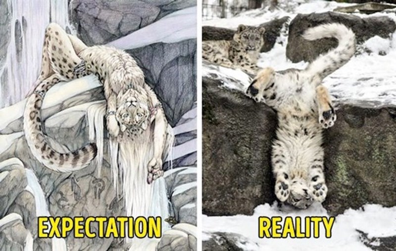 Kako misliš da ćeš izgledati kad staneš u seksi pozu, a kako zapravo izgledaš