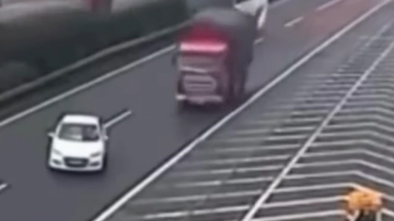 Snimka iz Kine je nasmijala tisuće ljudi, morate vidjeti kraj!