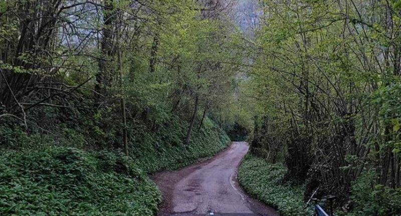 U okolici Samobora su obnovili cestu, ljudi ne vjeruju kakvu signalizaciju su postavili