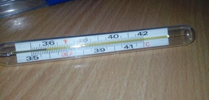 5. Živin toplomjer (nabavljen u BiH)