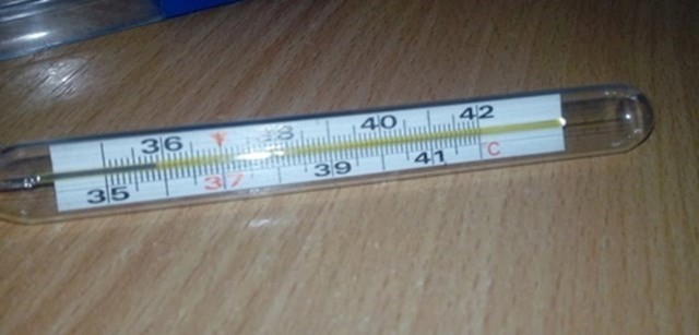 5. Živin toplomjer (nabavljen u BiH)