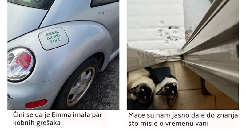 16 fotografija na kojima ima više drame od Shakespeareove tragedije