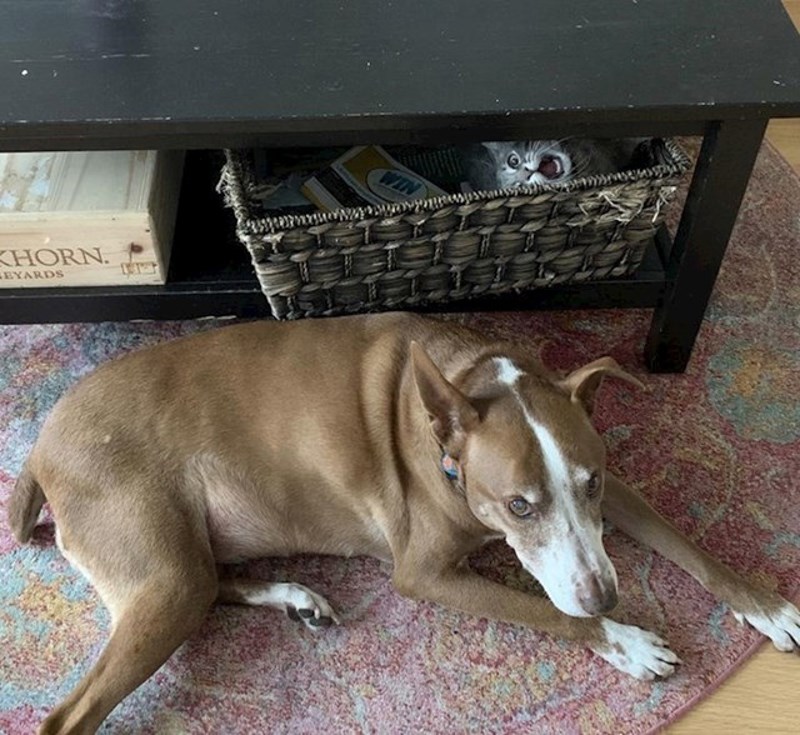 Da ga niste fotkali bez mene!