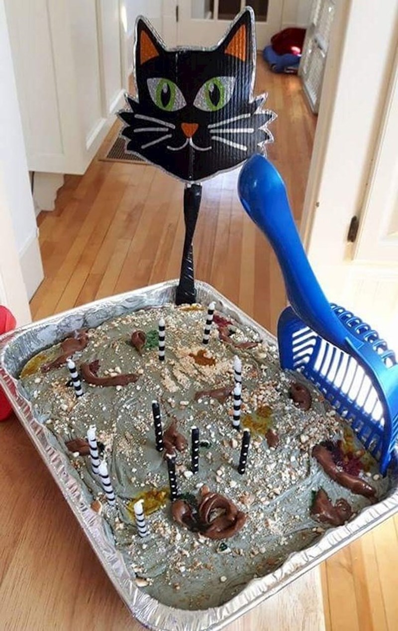 "Ja sam samohrani otac dvije kćeri. Moja starija kći je zaželjela rođendan s temom "Bljak" pa sam napravio svoju prvu tortu u životu. Mačji pijesak. Oduševila se. "