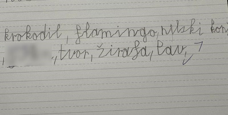 Dječak je trebao napisati svoje omiljene životinje, samo će Imoćani uspjeti prepoznati jednu od njih