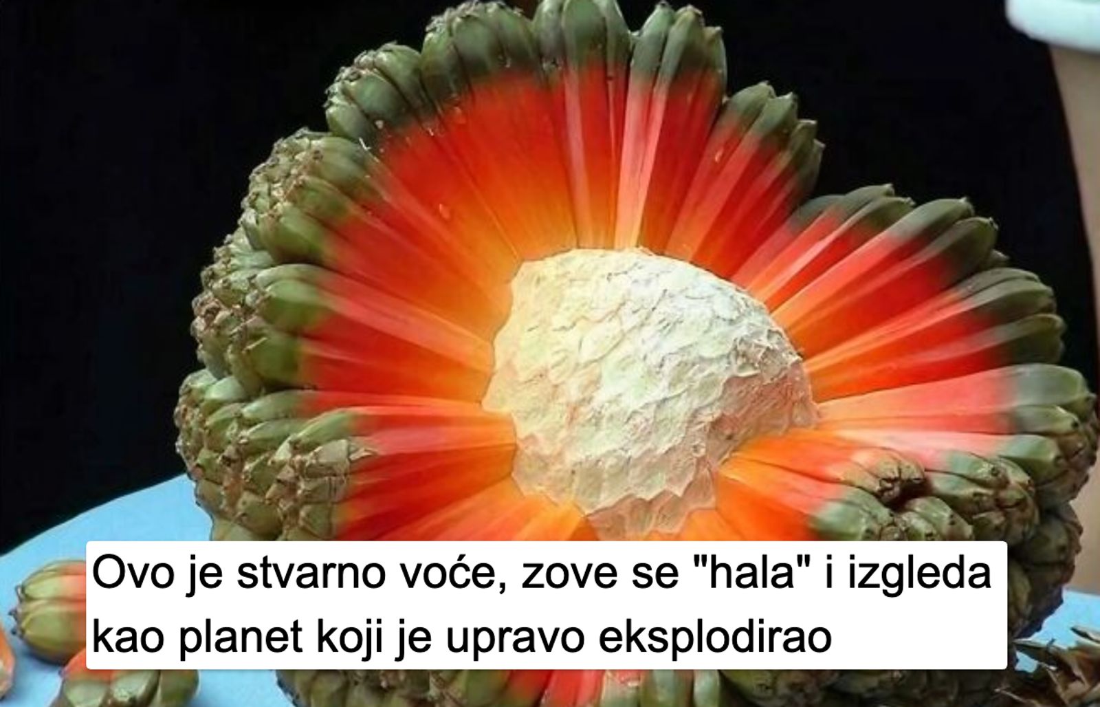 Ako volite učiti nove stvari, ovih 25 zanimljivih činjenica će vas oduševiti!