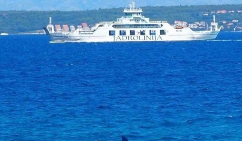 Sezona na Jadranu je počela, morate s čim je ovaj majstor ušao u more