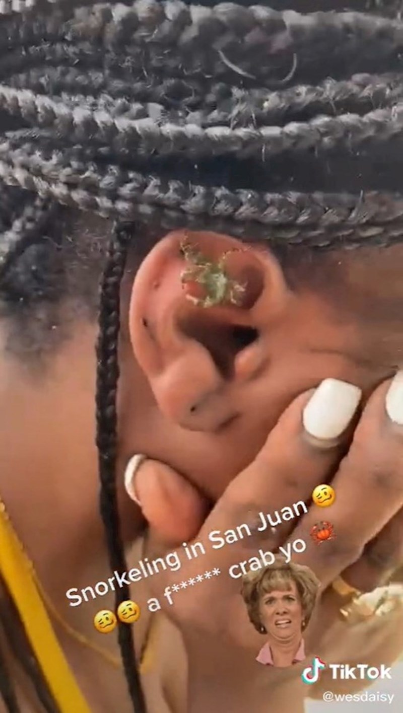 I izvadio malenog račića!