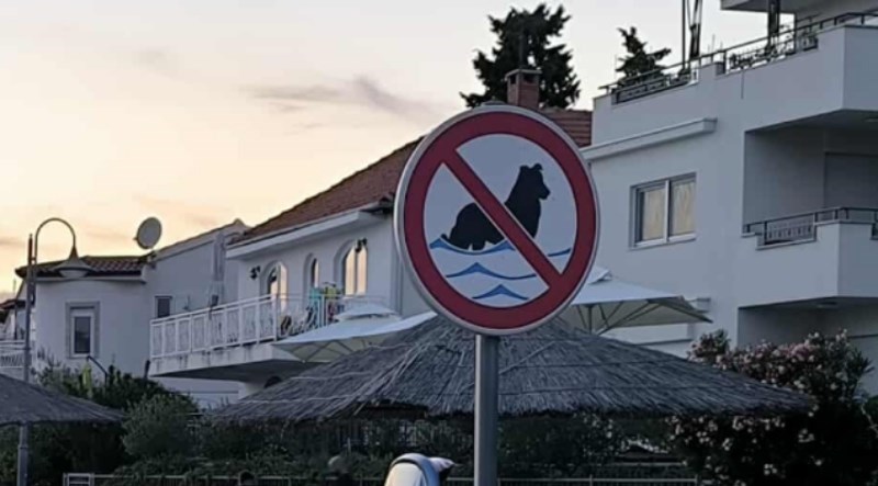 Ljeto je tek počelo, a već imamo najgori parking sezone. Imate jednom pravo pogađati marku auta