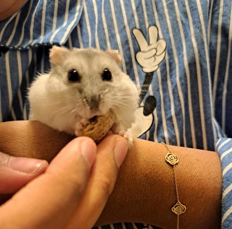 3. "Ovo je bilo fotografirano u savršenom trenutku"