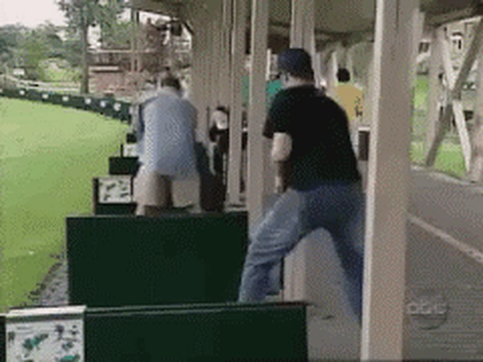 niceshot