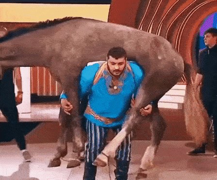 kazu, jak ko konj...:)))...