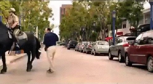 ne tuci zivotinje...:)))...