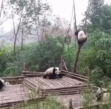 makni se s mog drveta...:)))...