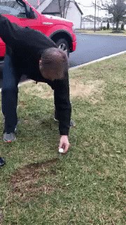 pas i loptica....:))):..