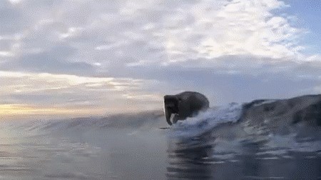 hehehehee....bas je fora...:)))...