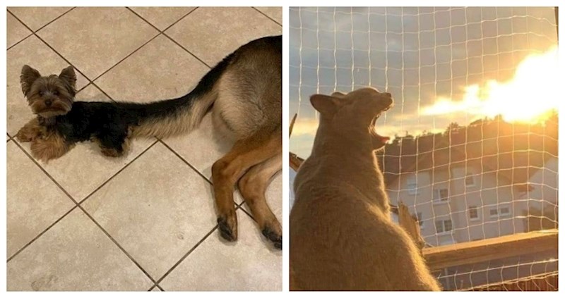 15 sretnika slučajno je fotkalo prava mala remek-djela s dozom magije u sebi