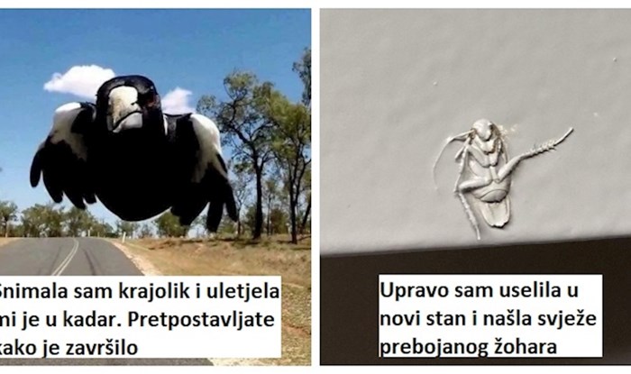 14 ljudi koji su mislili da će imati običan dan, ali je svemir rekao: "Iznenađenjeee!"