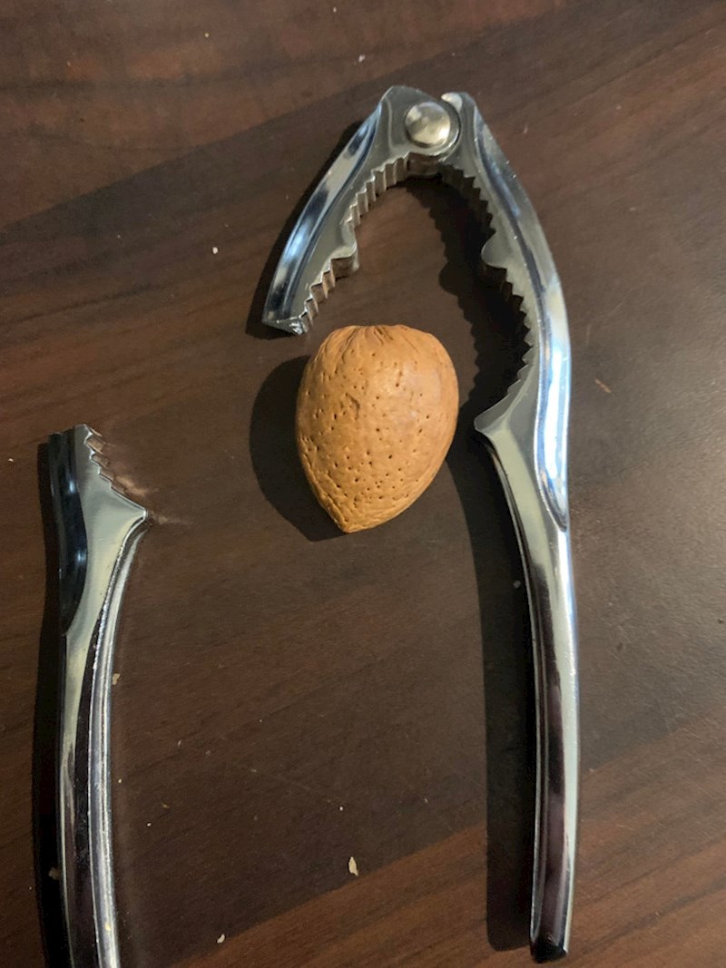 "E ovo je definicija tvrdog oraha"