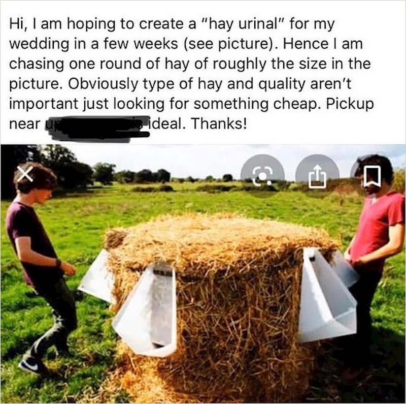 Ne prodaje nego kupuje sijeno. Priprema se fancy vjenčanje s DIY zahodom!