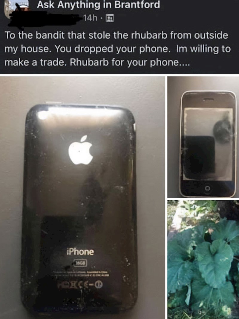 Lopov je ukrao rabarbaru, ali mu je pritom ispao mobitel