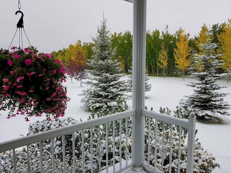 Tri godišnja doba na jednoj slici