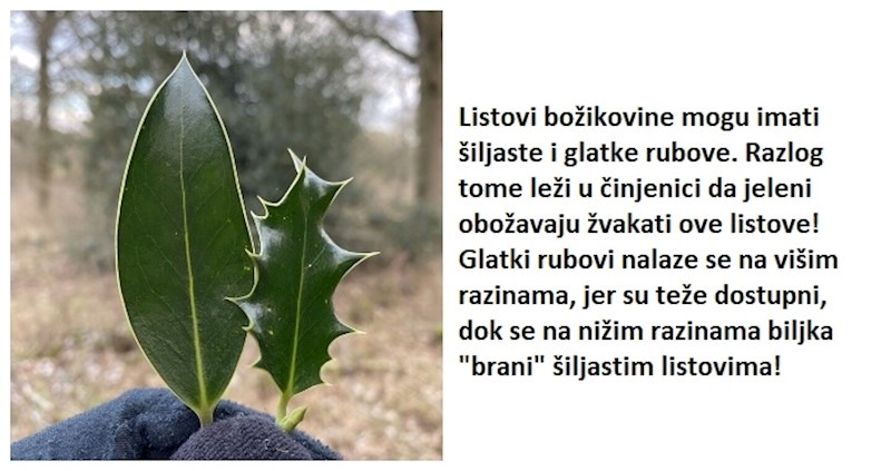 20 moćnih fotki usporedbi koje će vas zamisliti i dati vam novu perspektivu