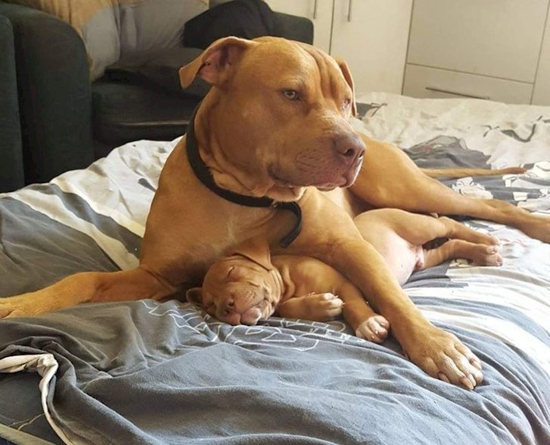 Moja beba sa svojom bebom