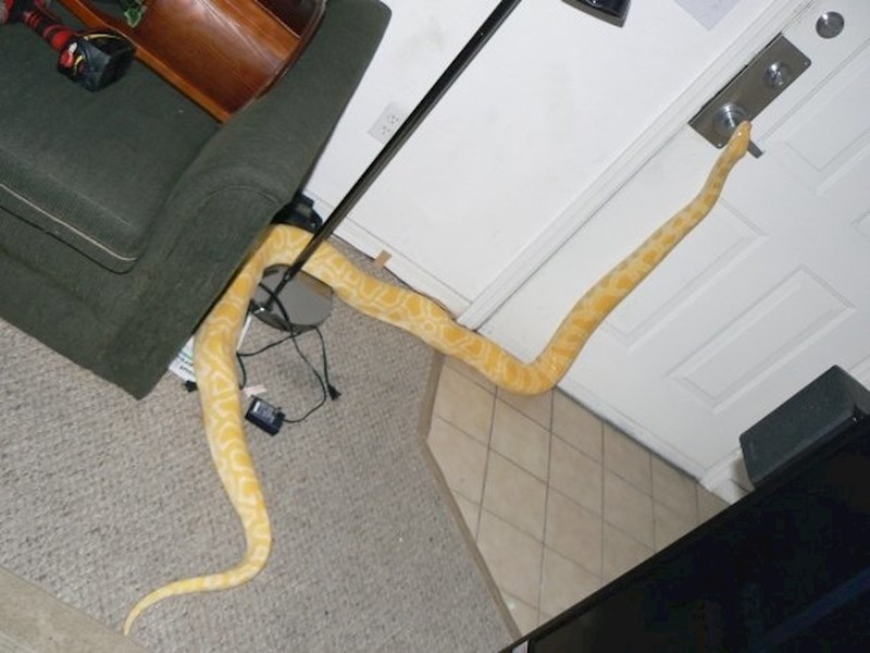 "Neka, neka, sama ću izaći"