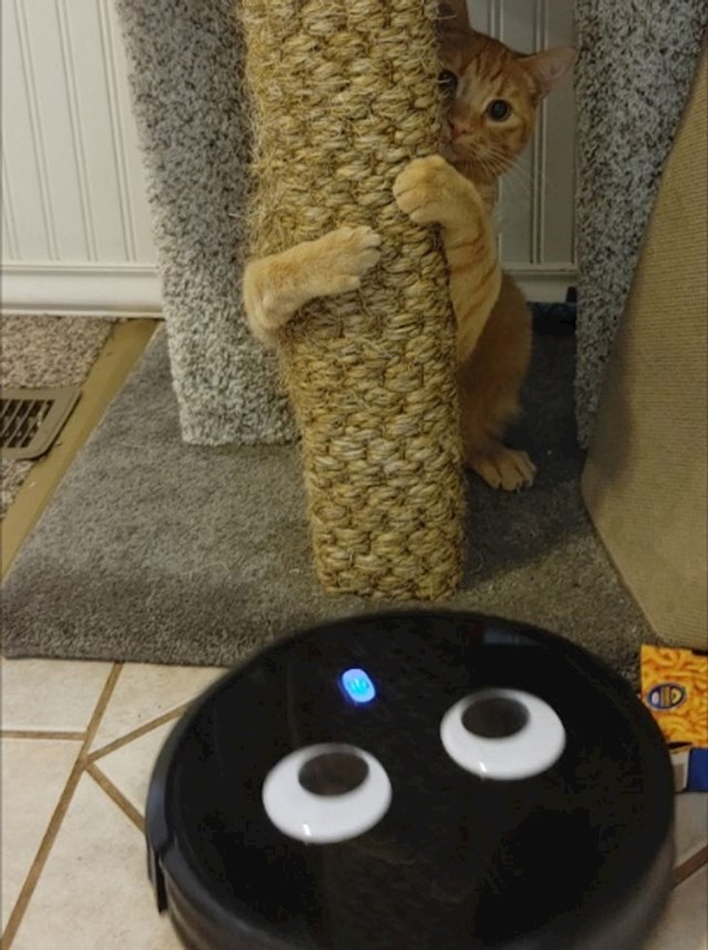 Strašna ta Roomba!