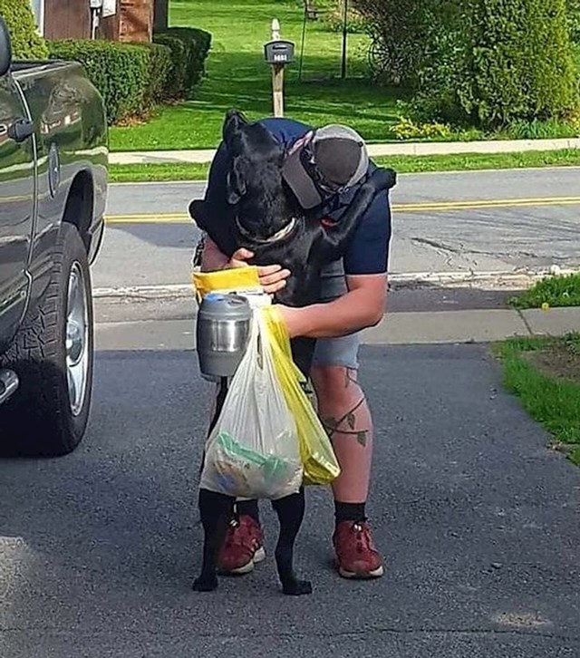 Neki ljudi uče pse da ne skaču, ali ja jedva čekam ovaj zagrljaj nakon cijelog dana na poslu