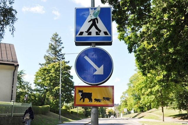3. U jednom gradu na pješačkom prijelazu postoji znak da tu prelaze i mačke s mačićima kako bi vozači dodatno povećali oprez